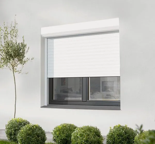 Window Shutters